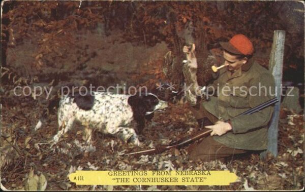 Jagd Jäger Hund Kaninchen Nebraska
