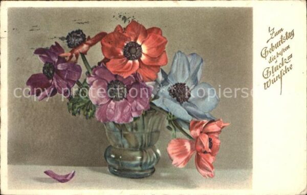 Geburtstag Anemonen