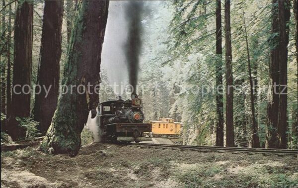 Lokomotive Redwoods Roaring Camp and Big Trees Nar