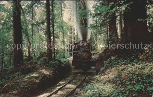 Lokomotive Dixiana Shay Santa Cruz Mountains Roari