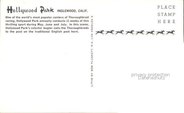 Pferdesport Pferderennen Reitsport Hollywood Park Inglewood California Bug – Bild 2