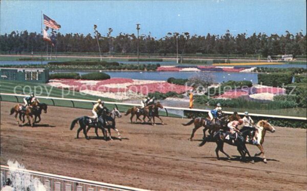 Pferdesport Pferderennen Reitsport Hollywood Park Inglewood California