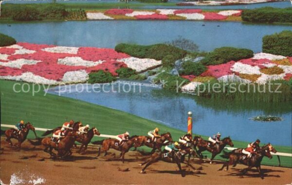 Pferdesport Pferderennen Reitsport Hollywood Park Inglewood California