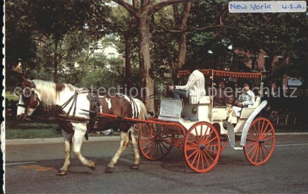 Postkutsche Horse-Drawn Carriages 59th Street New Y