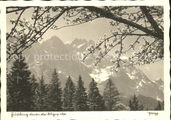 Foto Popp Nr. Frühling unter der Zugspitze
