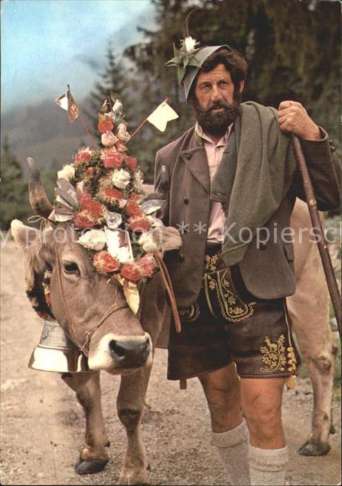 Kuehe Almabtrieb Allgäu
