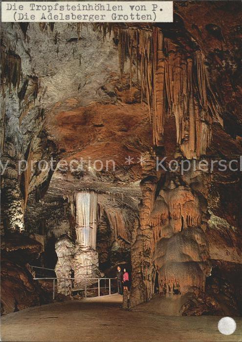 Hoehlen Caves Grottes Postojnska jama