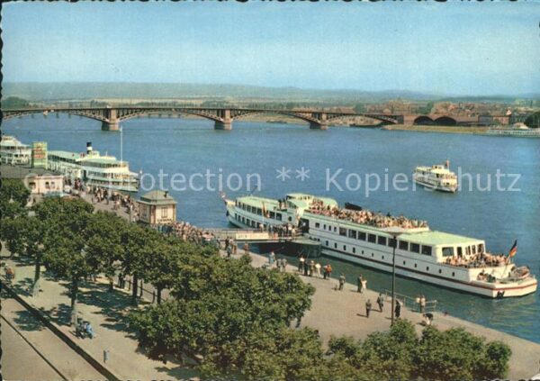 Motorschiffe Mainz Rheinbrücke