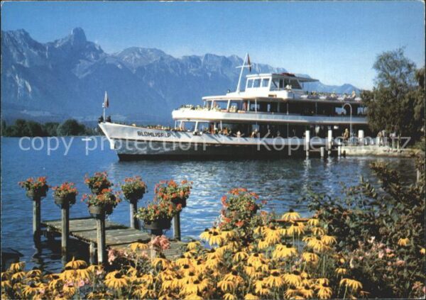 Motorschiffe Blümlisap Thunersee Stockhorn