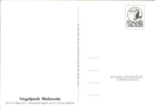 Papagei Vogelpark Walsrode – Bild 2