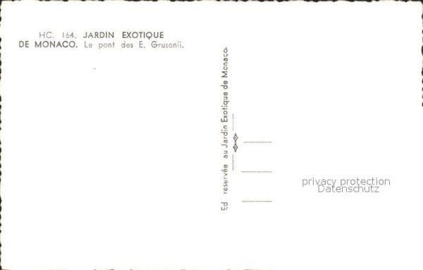 Kakteen Jardin Exotique Monaco Pont E. Grusonii – Bild 2