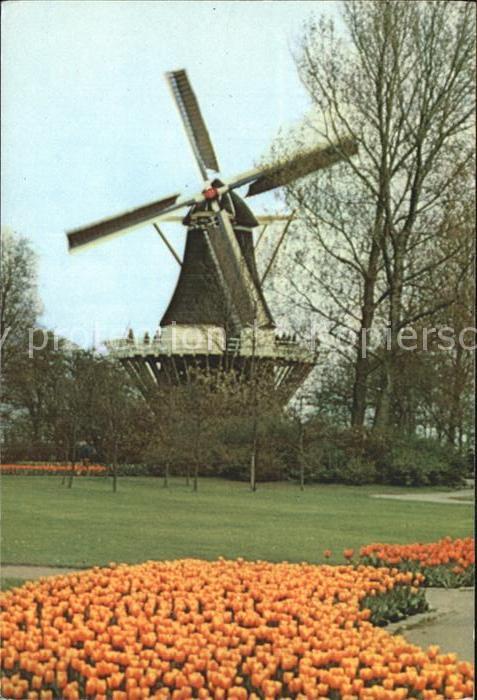 Windmuehle Keukenhof Lisse