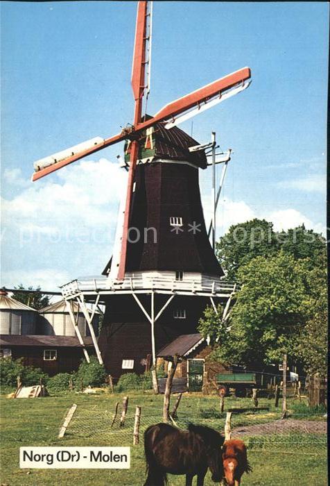 Windmuehle Norg Holland