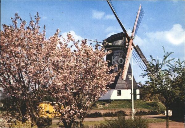 Windmuehle Rolde