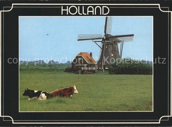 Windmuehle Kühe Bauernhof Holland
