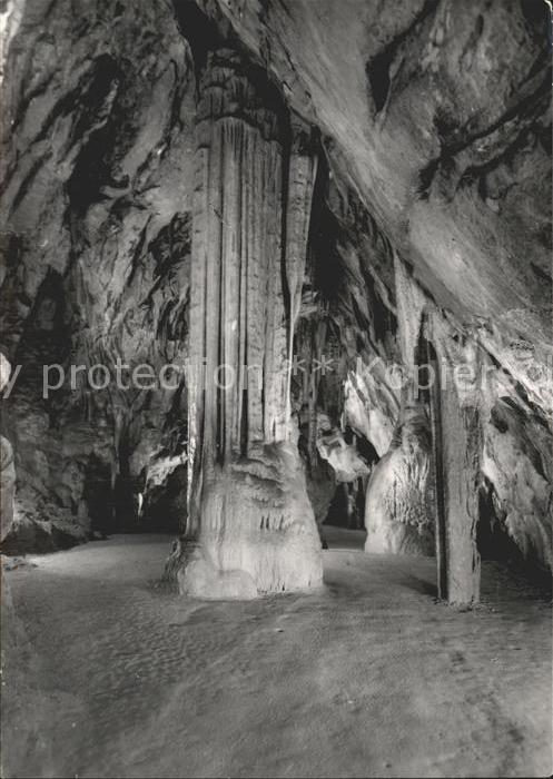 Hoehlen Caves Grottes Postojnska Jama Postojna