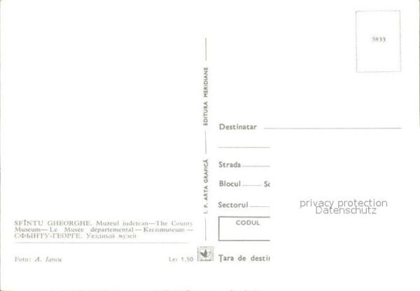 Sfintu Gheorghe Museum – Bild 2