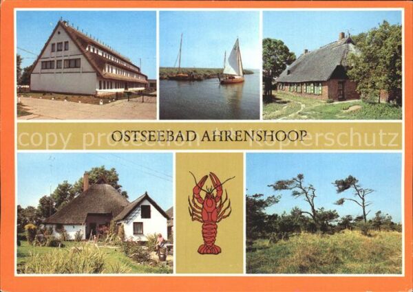 Ahrenshoop Ostseebad Orteile Niehagen Althage Windflüchter