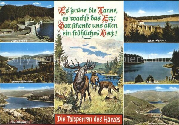 Harz Region Talsperren Eckertal Oderteich Odertal I