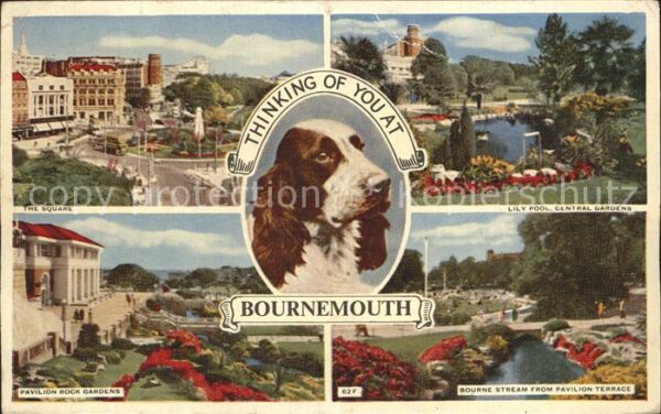 Bournemouth Square Pavilion Rock Gardens Central Ga