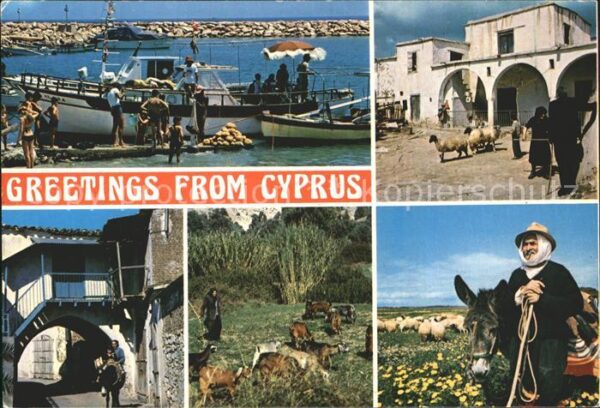 Cyprus Zypern Hafen Esel
