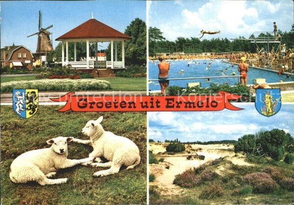 Ermelo Freibad Schafe Mühle Dünen