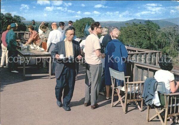 Nyeri Tee on Terrasse Treetops