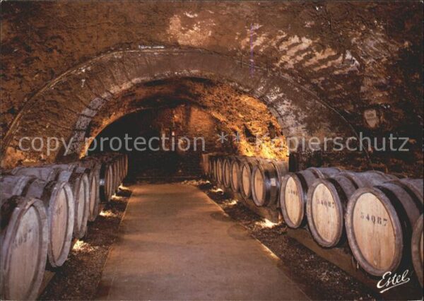 Wein Caves Exposition Reine Pedauque Beaune