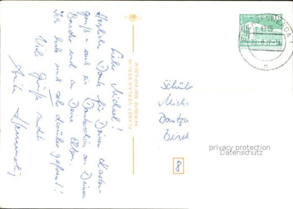 Pferde – Bild 2