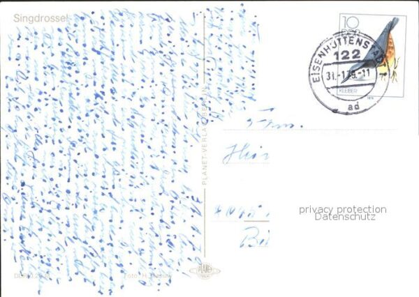 Voegel Singdrossel – Bild 2