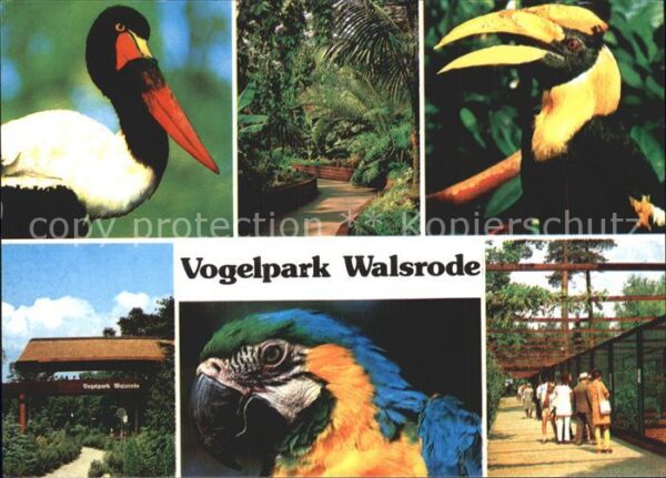 Voegel Papagei Vogelpark Walsrode