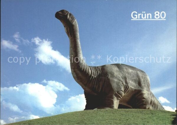 Dinosaurier Apatosaurus Grün 80 Ausstellung Garten-
