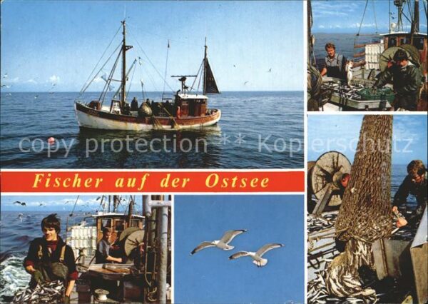 Fischerei Fischer Fischkutter Möwen