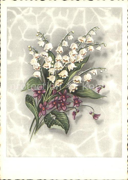 Maigloeckchen Veilchen