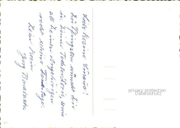 Maigloeckchen Veilchen – Bild 2