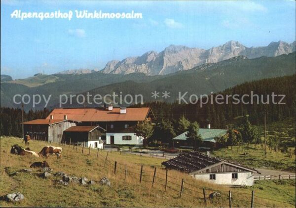 Reit Winkl Alpengasthof Winklmoosalm