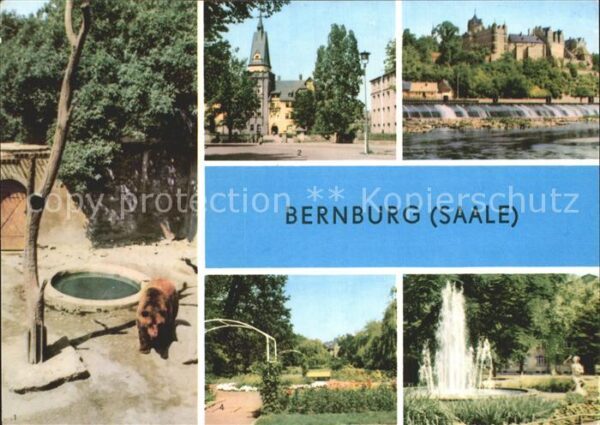 Bernburg Saale Bärenzwinger Schloss Kurhaus Rosengarte