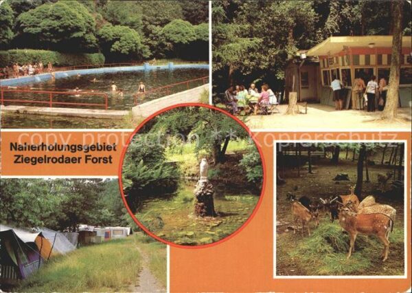 Ziegelroda Waldbad Jägerhütte Campingplatz Heimat