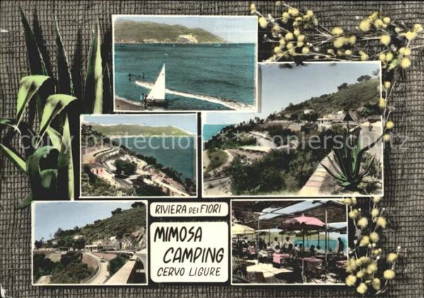 Cervo Camping Mimosa
