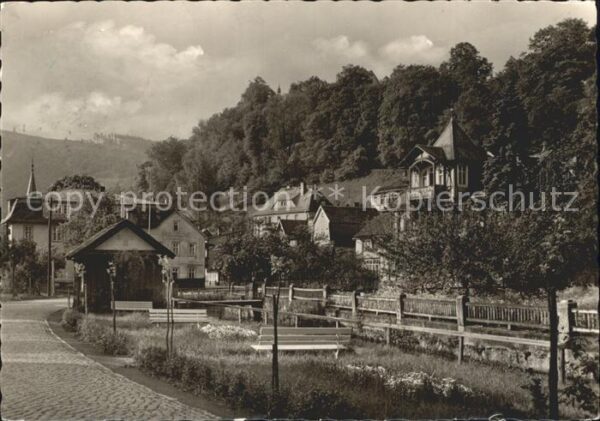 Schwarzburg Thueringer Wald