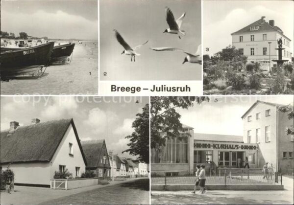 Breege Ruegen Strand Möwen Dünenhaus