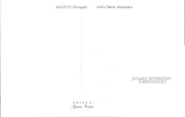 Alentejo Velho Pastor Alentejano – Bild 2