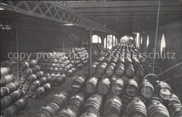 San Sadurni de Noya Casa Codorniu Una bodega