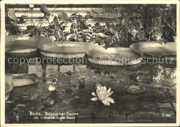 Berlin Botanischer Garten Viktoria Regia Haus