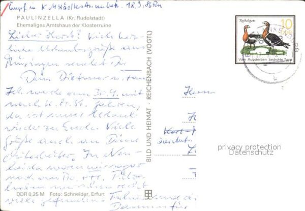 Paulinzella Amtshaus Klosterruine – Bild 2