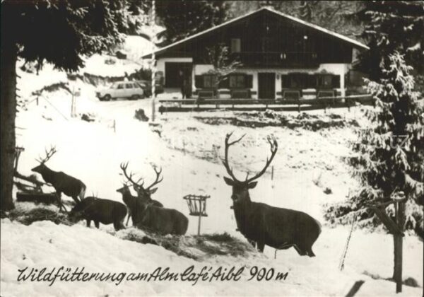 Scharling Wildfütterung Alm Cafe Aibl