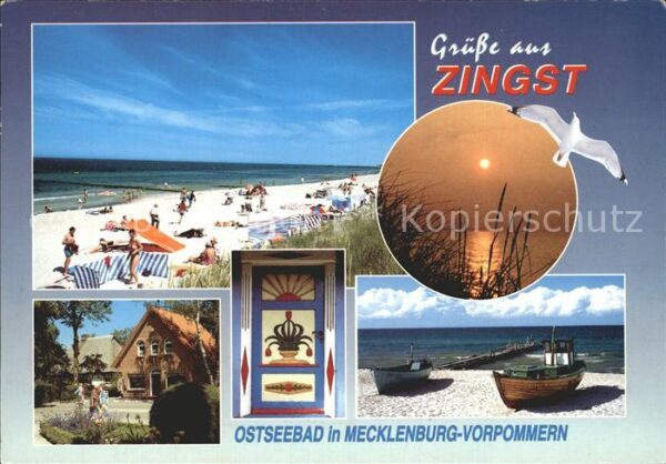 Zingst Ostseebad Möwe Strand Boot