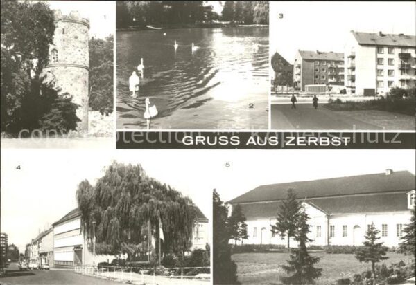 Zerbst Stadtmauerturm Schwanenteich Schlosspar