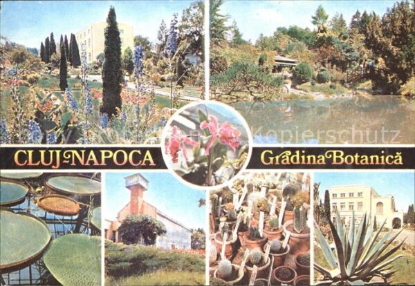 Cluj-Napoca Gradina Botanica