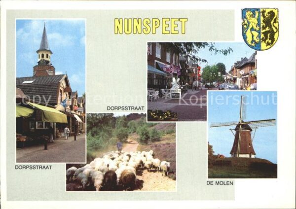 Nunspeet Mühle Schafe Dorfstrasse